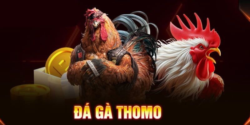 Đá gà campuchia online